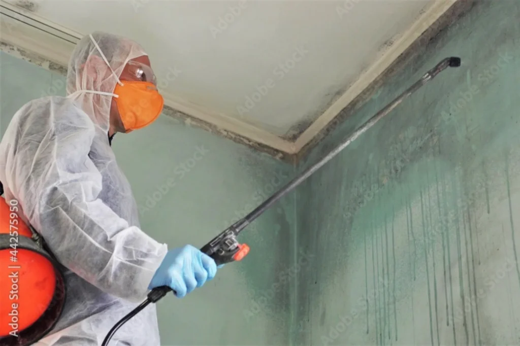 Mold Removal in Northwest Houston